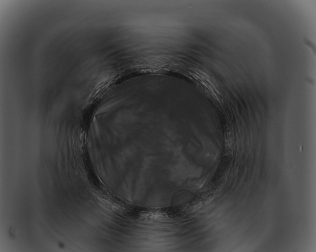 X0000092320503200710051259