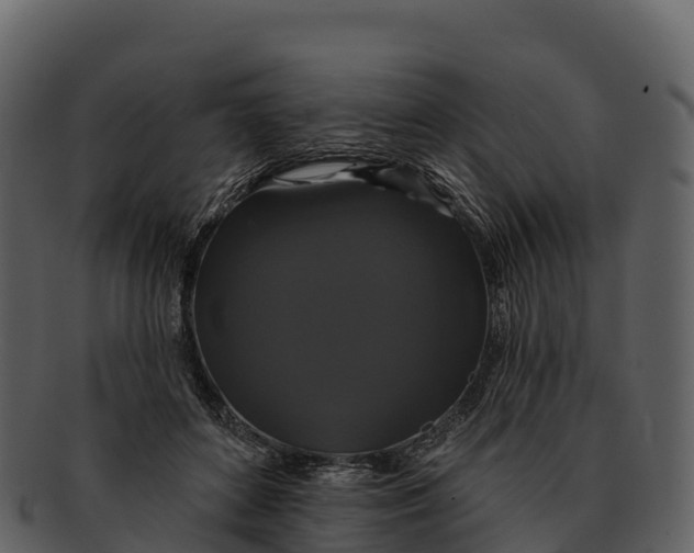 X0000092320504200710051259