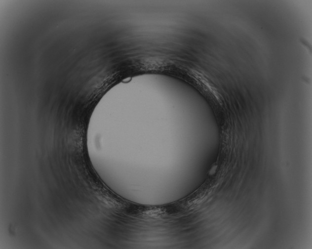 X0000092320505200710051259