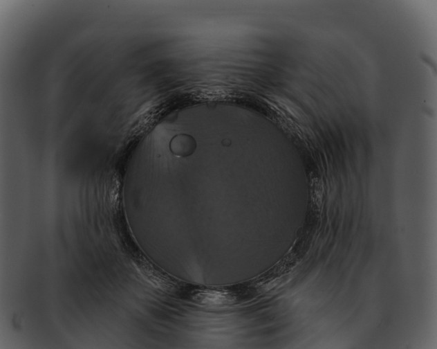 X0000092320507200710051259