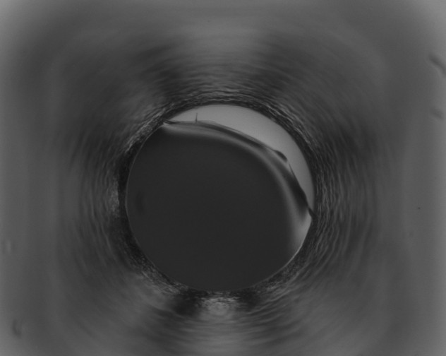X0000092320508200710051259