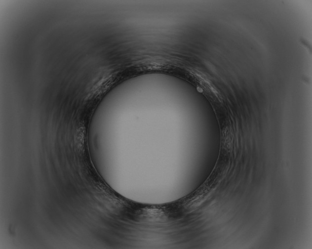X0000092320509200710051259