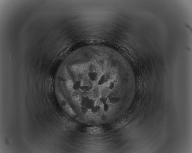 X0000092320511200710051259