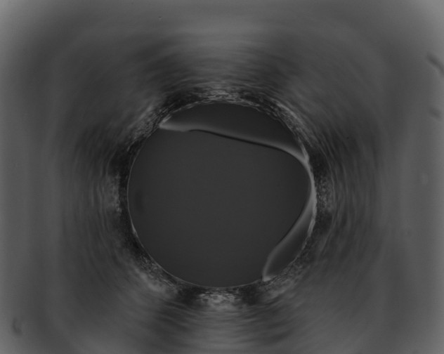 X0000092320512200710051259