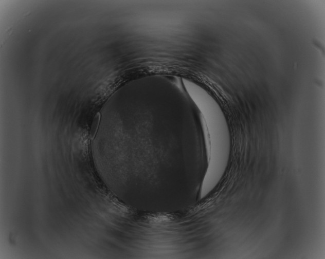 X0000092320513200710051259