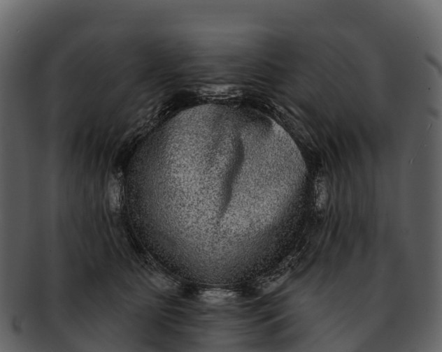 X0000092320515200710051259