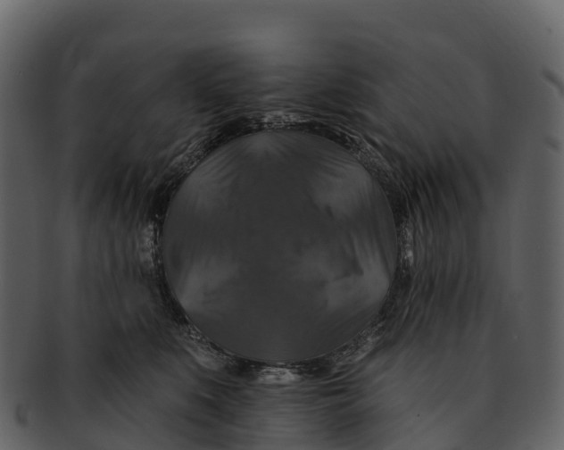 X0000092320519200710051259