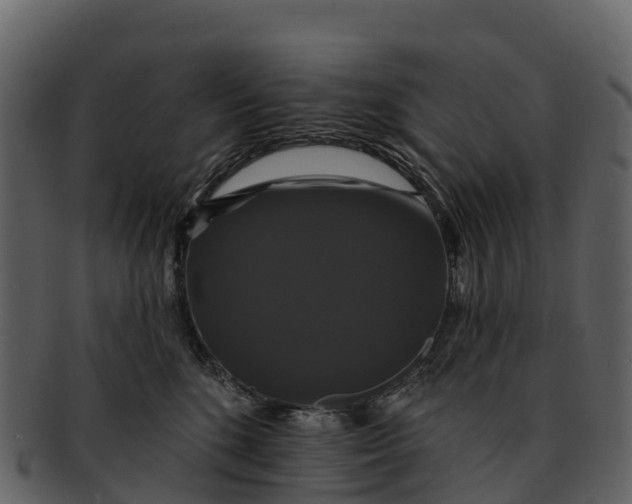 X0000092320520200710051259