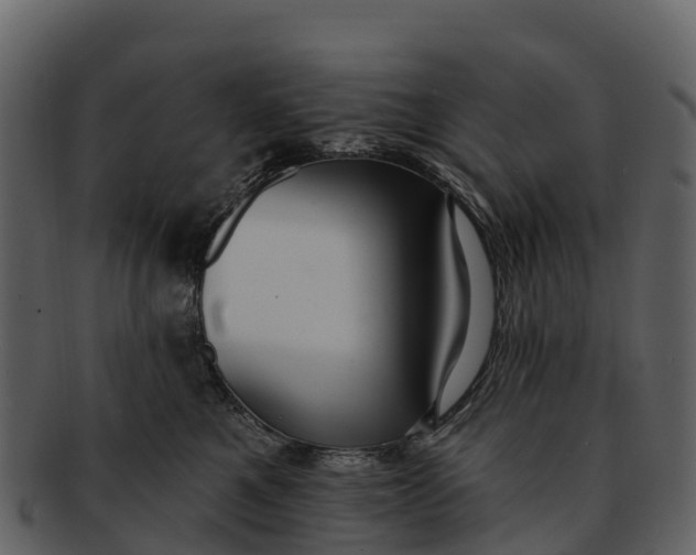 X0000092320521200710051259