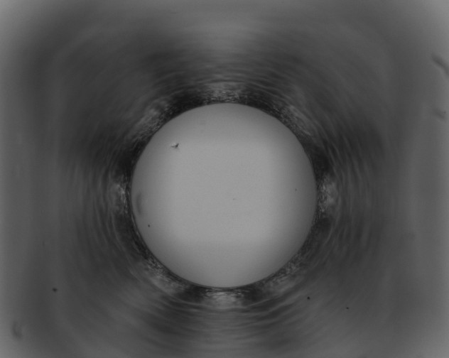 X0000092320522200710051259