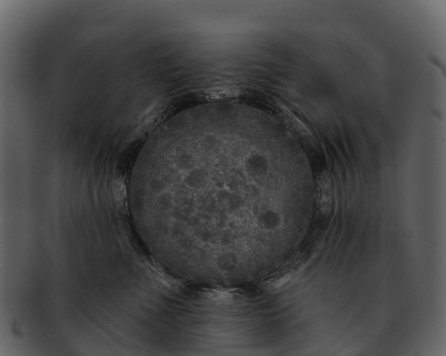 X0000092320523200710051259