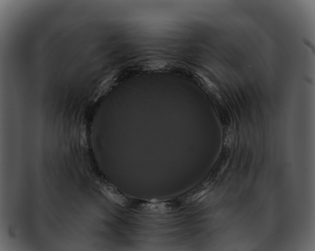 X0000092320524200710051259