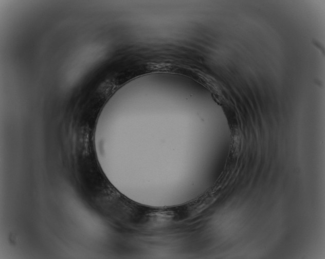 X0000092320525200710051259