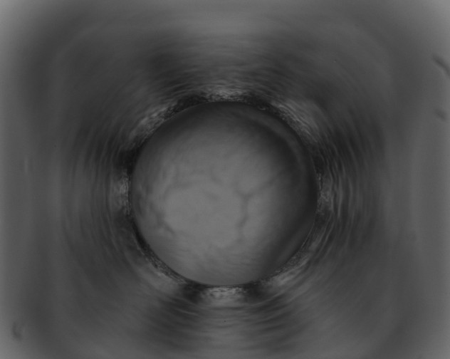 X0000092320526200710051259