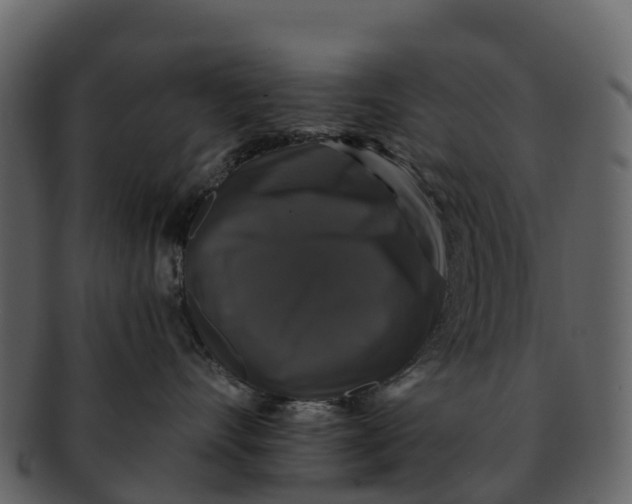X0000092320528200710051259