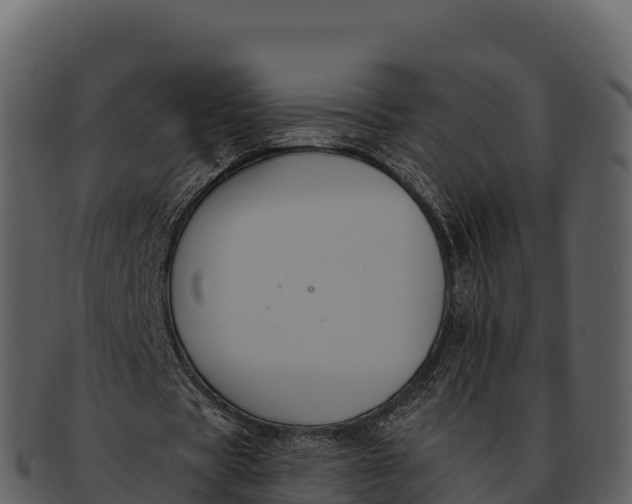 X0000092320529200710051258