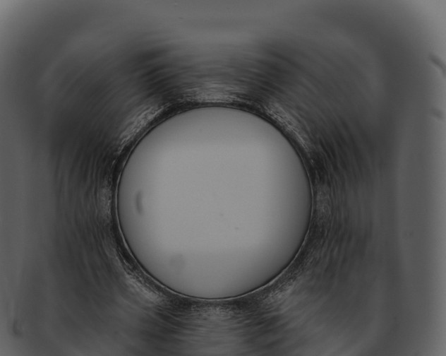 X0000092320533200710051258