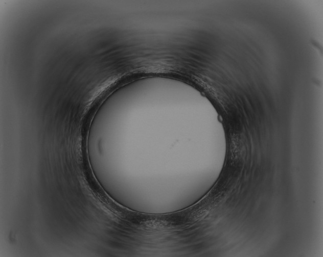 X0000092320535200710051258