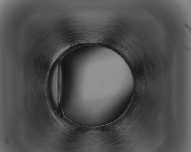 X0000092320536200710051258