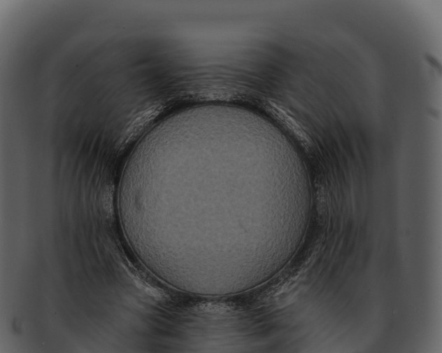 X0000092320537200710051258