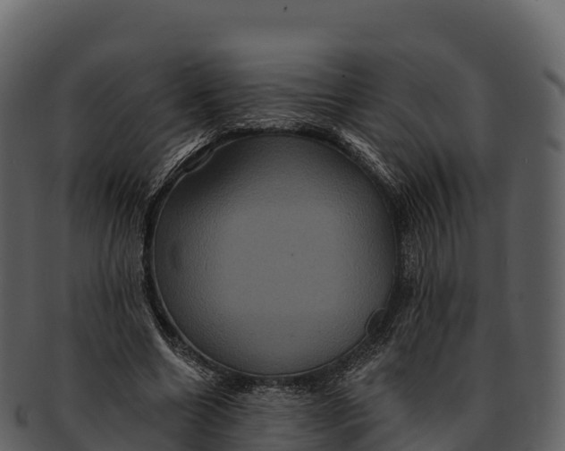 X0000092320538200710051258