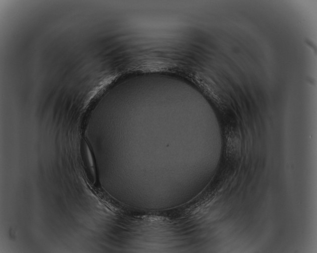 X0000092320539200710051258