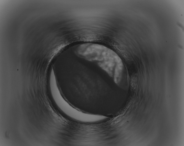 X0000092320540200710051258