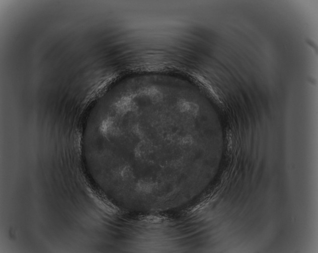 X0000092320542200710051258