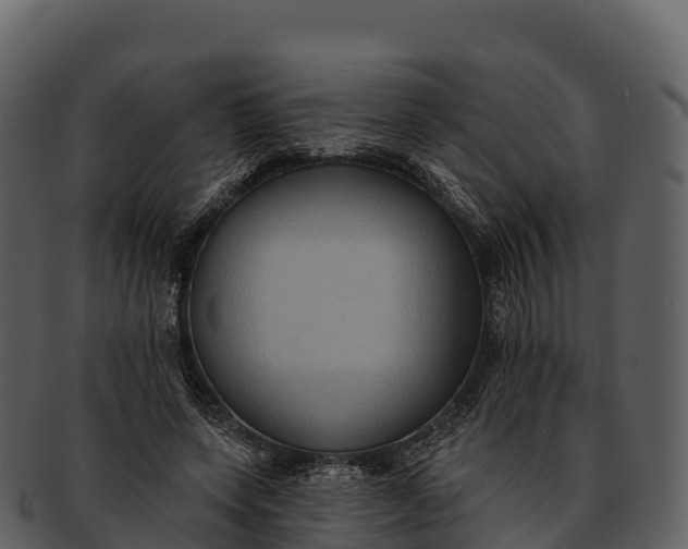 X0000092320543200710051258