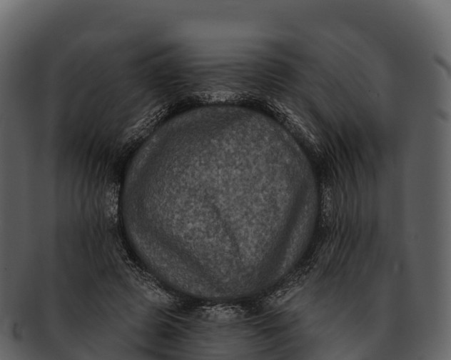 X0000092320545200710051258