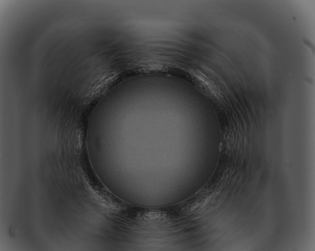 X0000092320546200710051258