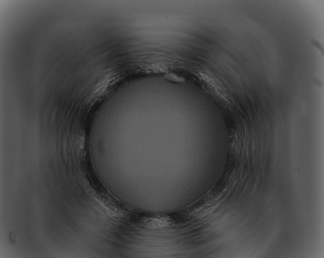 X0000092320548200710051258