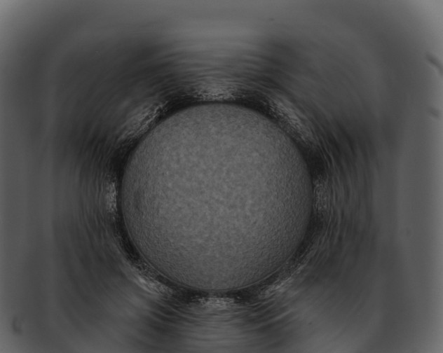 X0000092320549200710051258