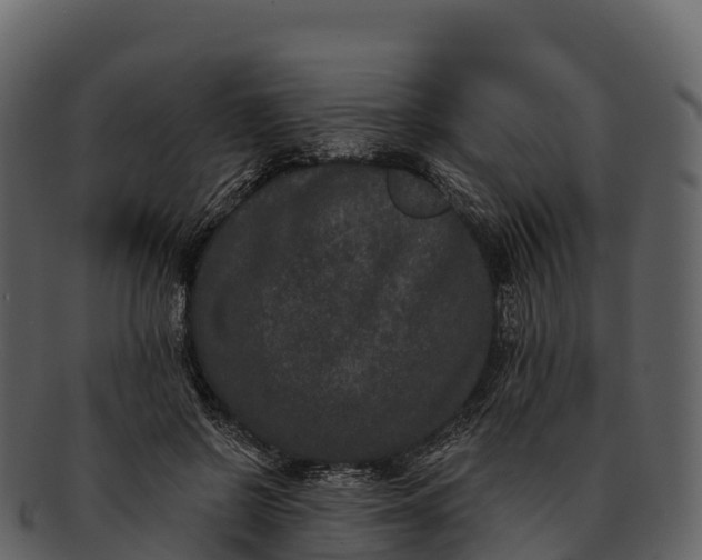 X0000092320550200710051258