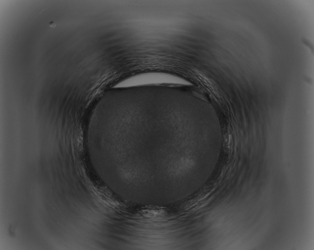 X0000092320552200710051258