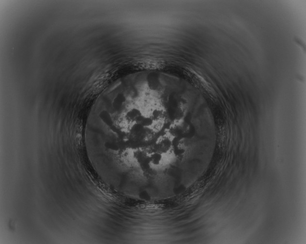 X0000092320553200710051258