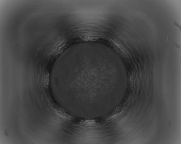X0000092320554200710051258
