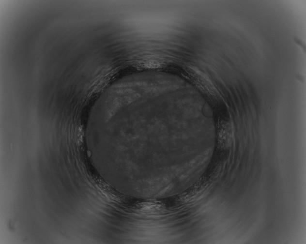 X0000092320555200710051258