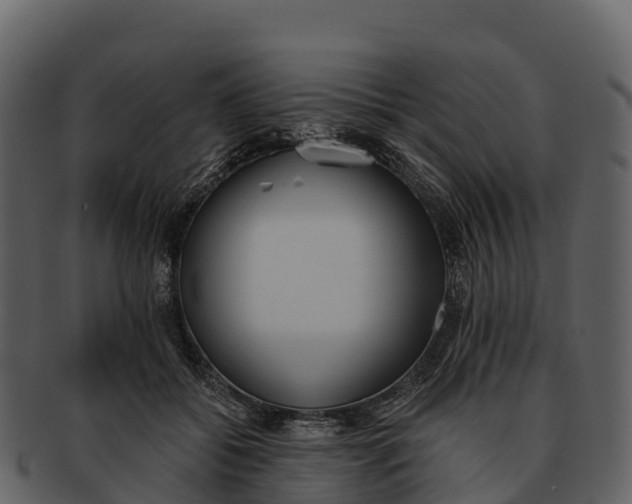 X0000092320556200710051258
