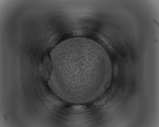 X0000092320557200710051258