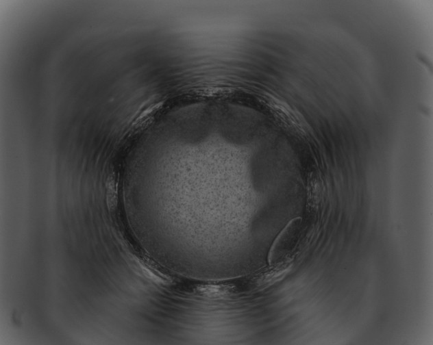 X0000092320558200710051258