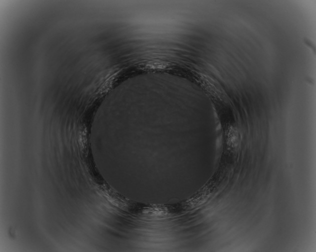 X0000092320559200710051258
