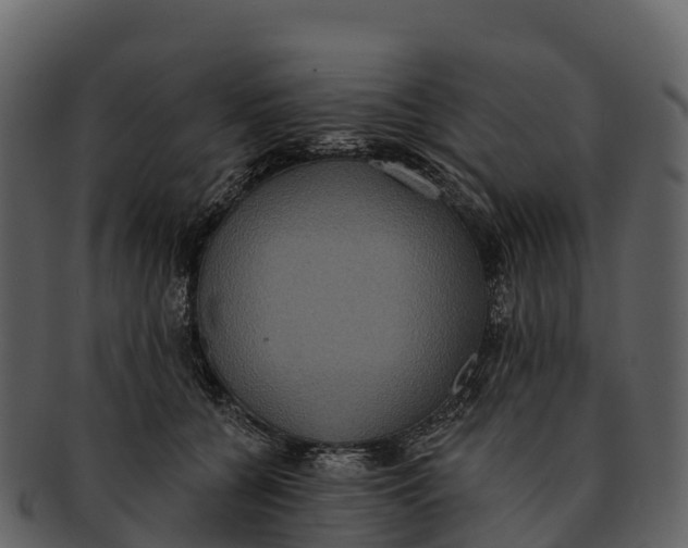 X0000092320560200710051258