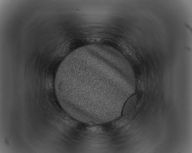X0000092320561200710051258