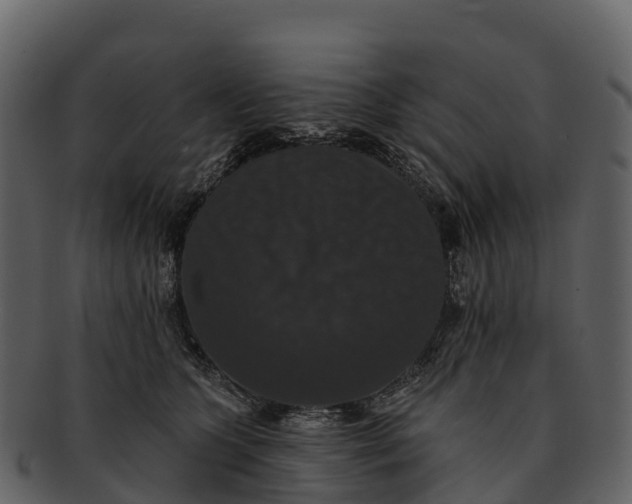X0000092320563200710051259