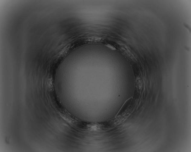 X0000092320564200710051259