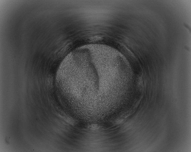 X0000092320565200710051259