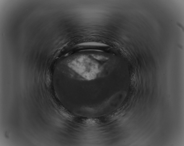 X0000092320566200710051259