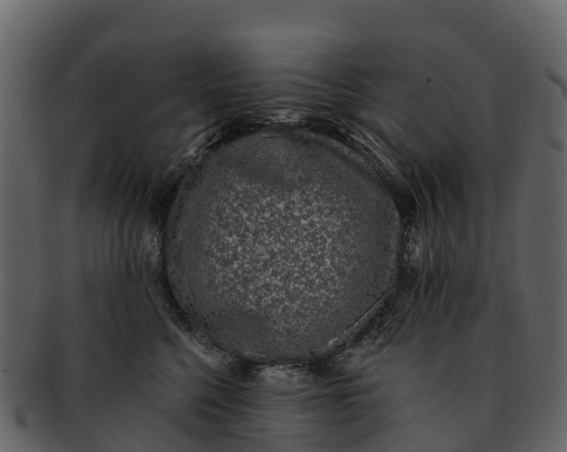 X0000092320568200710051259