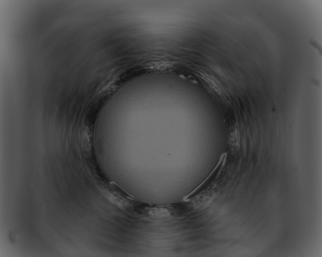 X0000092320572200710051259